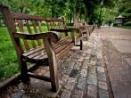 A bench in the Rittenhouse Square park in Philadelphia, Pennsylvania.