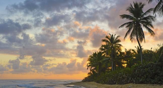 Tropical Sunrise - Vieques, Puerto Rico 