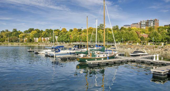 Boats in Harbour and Autumn Colours; Shutterstock ID 172313792; Project/Title: AARP; Downloader: Melanie Marin