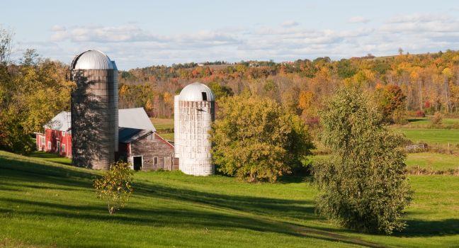 Autumn colors on the farm, Shelburne, Vermont
