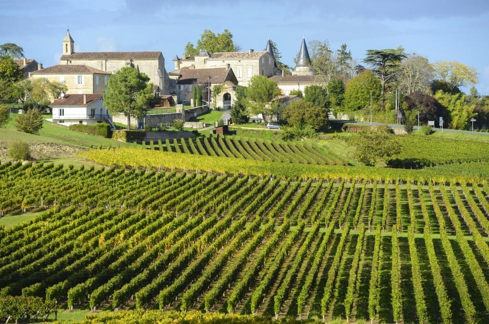 Bordeaux and the Wine Country