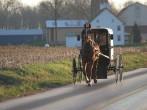 Amish horse and buggy, Chester County, Pennsylvania Dutch Country.