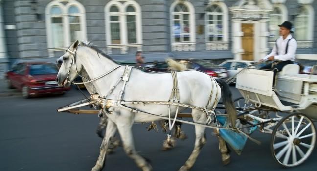 UKRAINE, ODESSA - June 11,2014: Moving carriage on a city street.